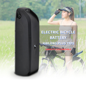 36V 48V Hailong Battery DownTube Electric Bike Bicycle Road Mountain Bike Lithium Battery E-bike Battery Pack 36v For Sale
